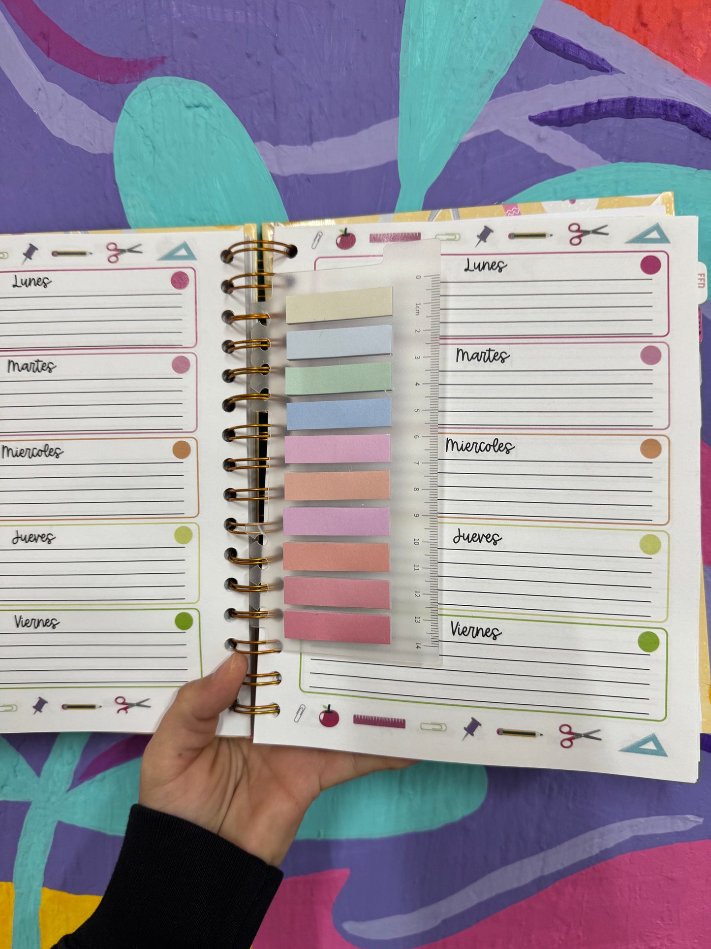 Regla, Separador de Agenda y 200 Post-its – Todo en Uno 📏📑✨